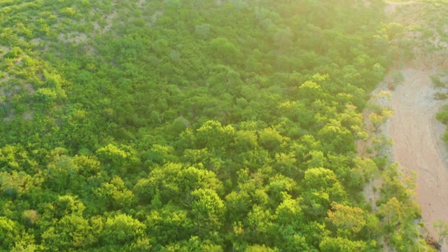 CABO PULMO BCS MEXICO-2021: Drone Flight over Lush Forest and River