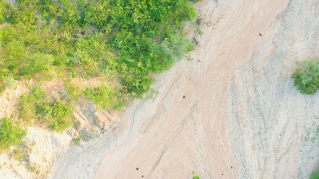 CABO PULMO BCS MEXICO-2021: Forest Edge and Gravel Path From Above