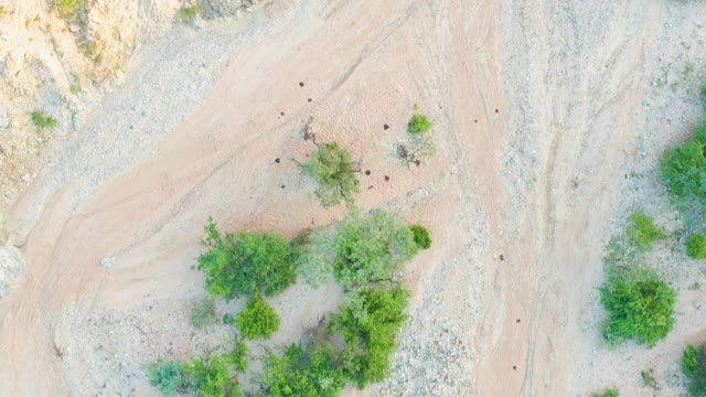 CABO PULMO BCS MEXICO-2021: Drone Flight Over Arid Landscape with Sparse Trees