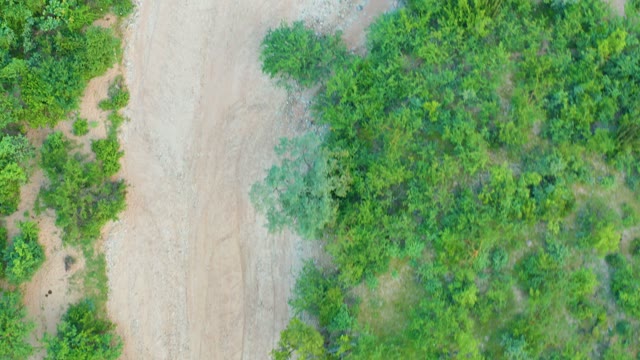 CABO PULMO BCS MEXICO-2021: Dirt Road Through Forested Area with Gravel Pile