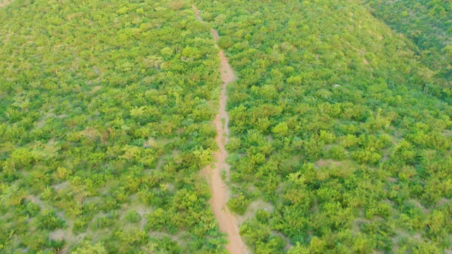CABO PULMO BCS MEXICO-2021: Aerial Flight Over Forested Hill with Winding Path