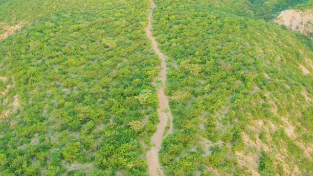 CABO PULMO BCS MEXICO-2021: Dirt Path Winding Through Lush Green Hills
