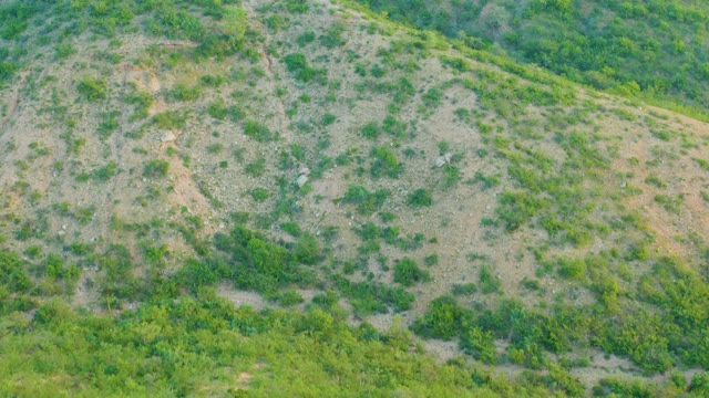 CABO PULMO BCS MEXICO-2021: Dry Hillside with Sparse Green Bushes From Above