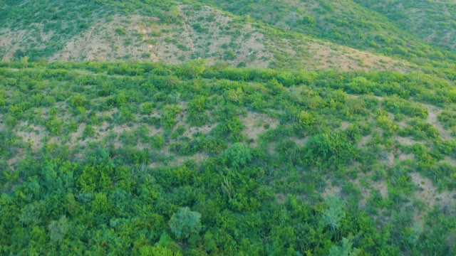 CABO PULMO BCS MEXICO-2021: Hilly Landscape with Mixed Vegetation and Bare Earth