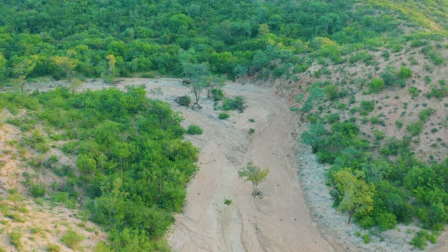 CABO PULMO BCS MEXICO-2021: Dry Riverbed with Lush Green Vegetation