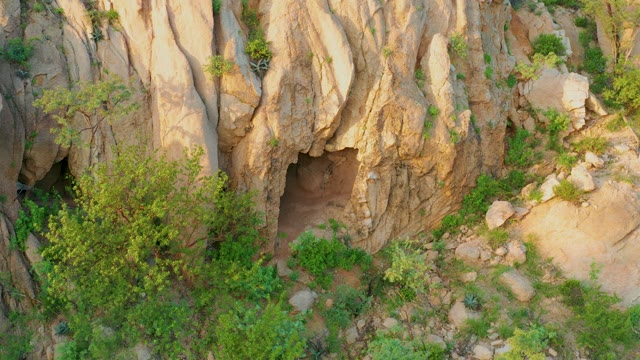 CABO PULMO BCS MEXICO-2021: Cave Entrance in Rocky Cliff with Vegetation
