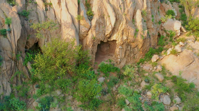CABO PULMO BCS MEXICO-2021: Animal Entering Cave in Rocky Cliff