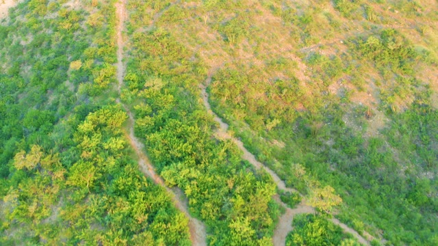 CABO PULMO BCS MEXICO-2021: Aerial Transition From Forest to Open Land