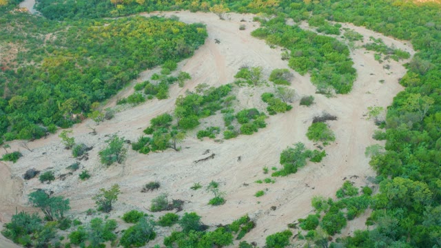 CABO PULMO BCS MEXICO-2021: Winding Dry Riverbed Surrounded by Lush Green Foliage
