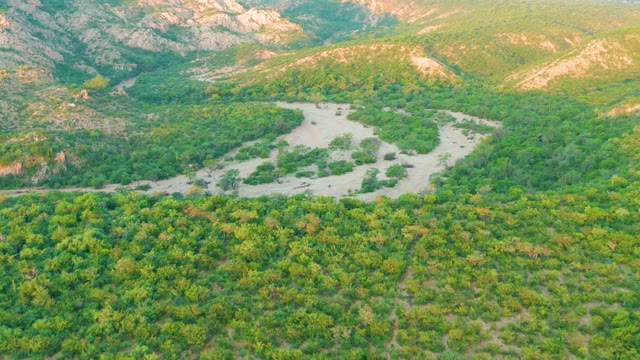 CABO PULMO BCS MEXICO-2021: Winding River Through Forested Mountain Valley
