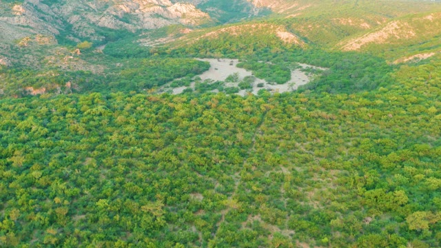 CABO PULMO BCS MEXICO-2021: Winding River Through Lush Forest and Mountain Ranges