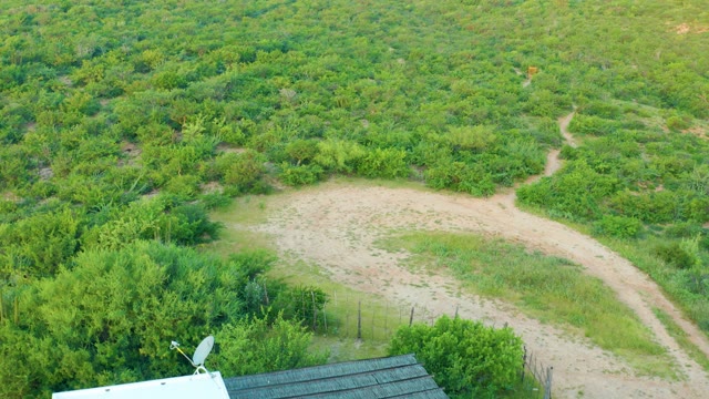 CABO PULMO BCS MEXICO-2021: Winding Dirt Path Through Lush Green Field