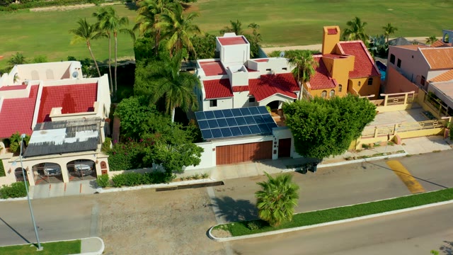SAN JOSE DEL CABO BCS MEXICO-2021: Palm Trees Swaying in Residential Neighborhood