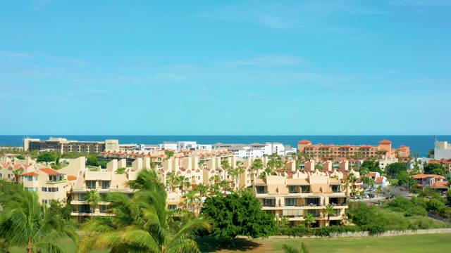 SAN JOSE DEL CABO BCS MEXICO-2021: Palm Trees Swaying in Coastal and Street Scenes