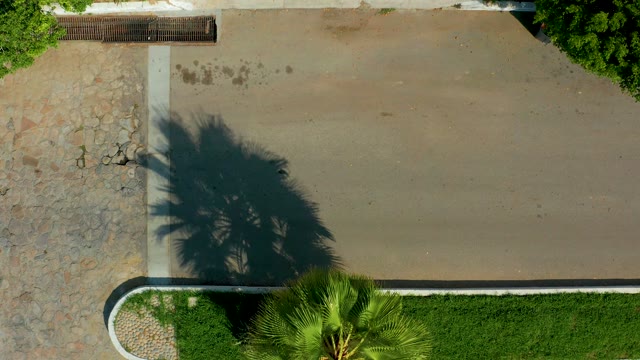 SAN JOSE DEL CABO BCS MEXICO-2021: Paved Driveway with Gate and Palm Shadow
