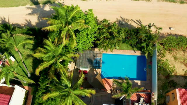 SAN JOSE DEL CABO BCS MEXICO-2021: Beachside Pool and Palm Trees Overhead