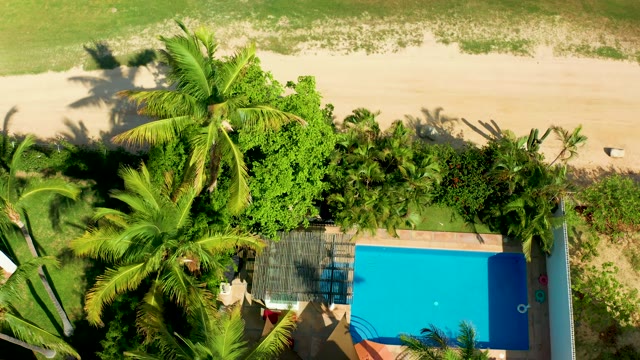SAN JOSE DEL CABO BCS MEXICO-2021: Palm Trees and Pool by Sandy Beach