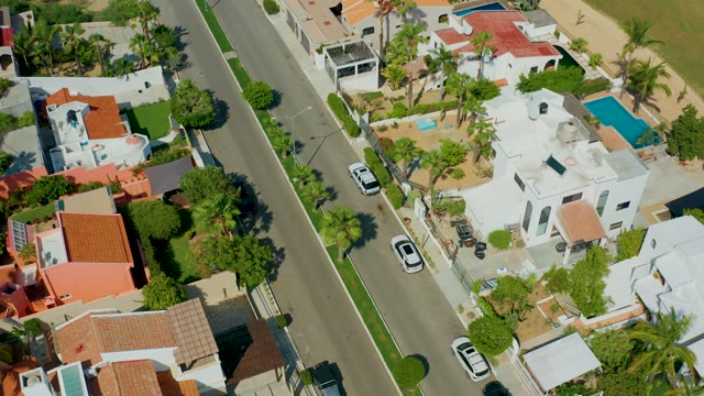 SAN JOSE DEL CABO BCS MEXICO-2021: Residential Street with Palm Trees and Parked Cars