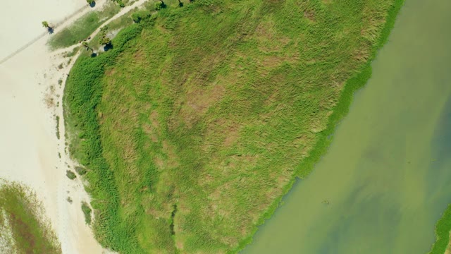 SAN JOSE DEL CABO BCS MEXICO-2021: Sandy Beach and Grassy Peninsula Aerial