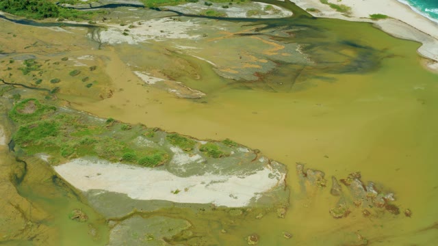 SAN JOSE DEL CABO BCS MEXICO-2021: Muddy Coastal Flats and Sandy Beach with Green Patches
