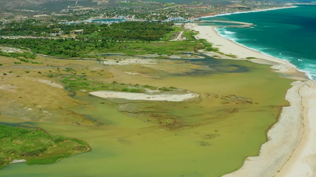 SAN JOSE DEL CABO BCS MEXICO-2021: Wetland Lagoon Next to Sandy Beach