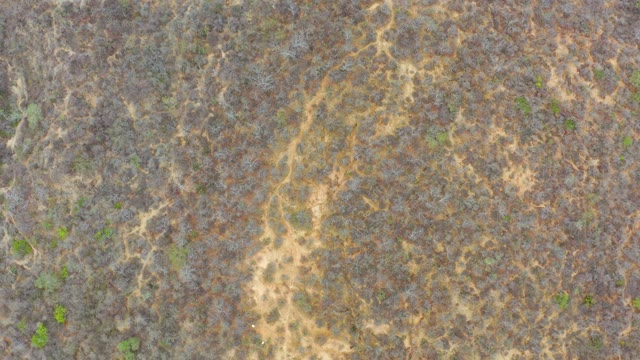 LA PLAYITA LOS CABOS MEXICO-2021: Aerial Pan Across Arid Shrubland