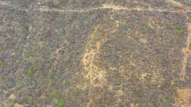 LA PLAYITA LOS CABOS MEXICO-2021: Drone Flight over Dry Scrubland