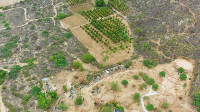 LA PLAYITA LOS CABOS MEXICO-2021: Dry Farmland with Orchard Rows and Farm Structures
