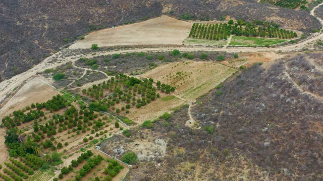 LA PLAYITA LOS CABOS MEXICO-2021: Agricultural Fields with Diminishing Tree Coverage