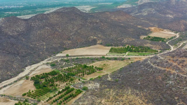 LA PLAYITA LOS CABOS MEXICO-2021: Mountain Farmland with Orchard Fields