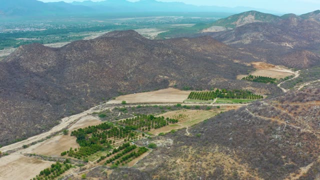 LA PLAYITA LOS CABOS MEXICO-2021: Agricultural Fields with Tree Rows in Mountainous Landscape