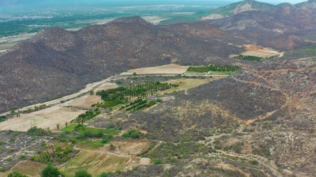 LA PLAYITA LOS CABOS MEXICO-2021: Mountain Valley with Farm Fields and Tree Groves