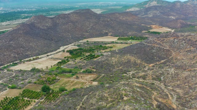 LA PLAYITA LOS CABOS MEXICO-2021: Agricultural Fields and Rocky Mountains in a Valley
