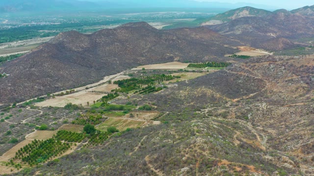 LA PLAYITA LOS CABOS MEXICO-2021: Mountainous Landscape with Orchards and Distant Development