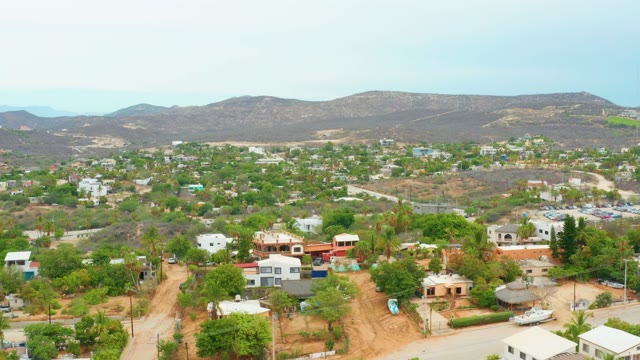 LA PLAYITA LOS CABOS MEXICO-2021: Residential Neighborhood with Wind-Blown Trees and Moving Car
