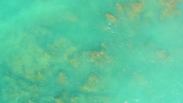 EL TULE BEACH LOS CABOS BCS MEXICO-2021: Shallow Turquoise Water with Visible Seaweed and Coral