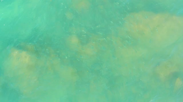 EL TULE BEACH LOS CABOS BCS MEXICO-2021: Clear Turquoise Water Revealing Seabed Rocks and Small Fish