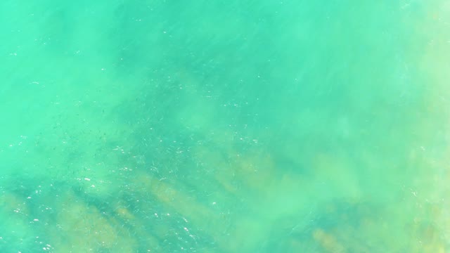 EL TULE BEACH LOS CABOS BCS MEXICO-2021: Gentle Ripples over Clear Turquoise Water with Visible Seabed