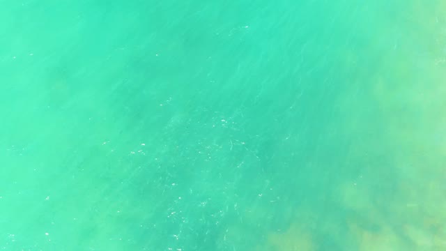 EL TULE BEACH LOS CABOS BCS MEXICO-2021: Shallow Turquoise Ocean Water with Visible Seabed