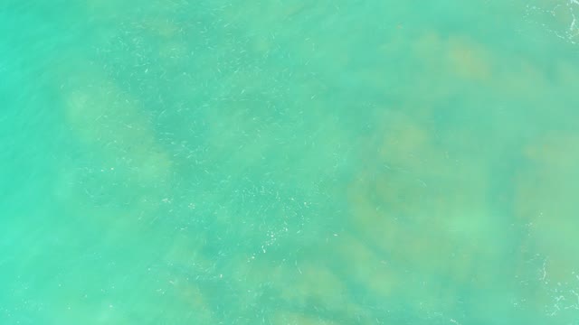 EL TULE BEACH LOS CABOS BCS MEXICO-2021: Clear Turquoise Water with Visible Seabed Features