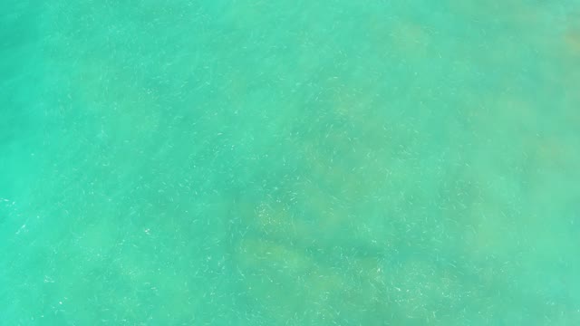 EL TULE BEACH LOS CABOS BCS MEXICO-2021: Gentle Ripples on Clear Turquoise Ocean Water