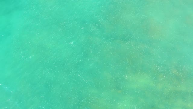EL TULE BEACH LOS CABOS BCS MEXICO-2021: Gentle Ripples on Clear Turquoise Ocean Surface