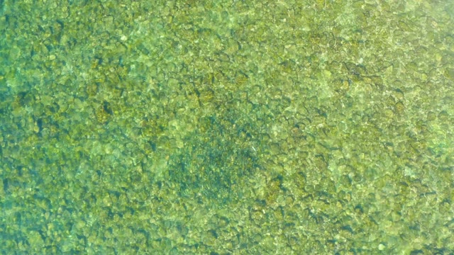 EL TULE BEACH LOS CABOS BCS MEXICO-2021: Shallow Ocean Floor Through Clear Water
