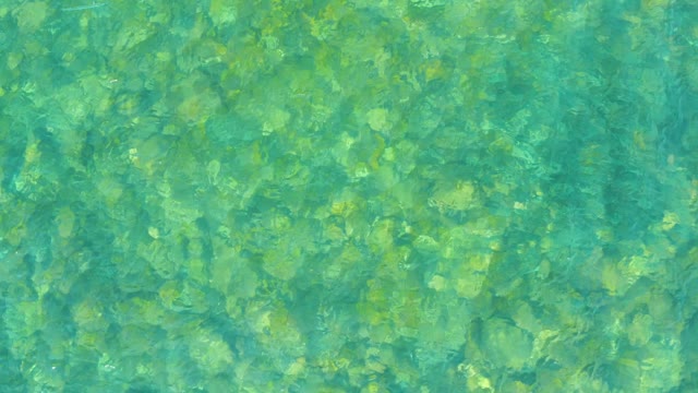 EL TULE BEACH LOS CABOS BCS MEXICO-2021: Clear Shallow Water with Gentle Ripples and Light Patterns