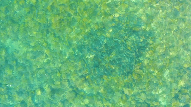 EL TULE BEACH LOS CABOS BCS MEXICO-2021: Gentle Ripples on Shallow Clear Turquoise Water