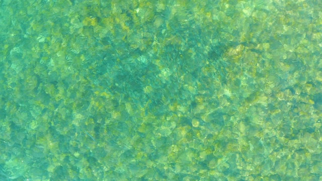 EL TULE BEACH LOS CABOS BCS MEXICO-2021: Shifting Shadow on Clear Shallow Water