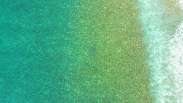 EL TULE BEACH LOS CABOS BCS MEXICO-2021: Shallow Ocean Water with Gentle Breaking Waves