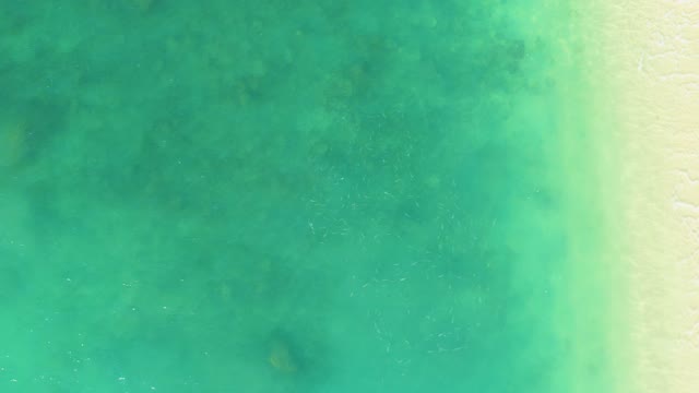 EL TULE BEACH LOS CABOS BCS MEXICO-2021: Clear Shallow Water Meets Sandy Shore From Above