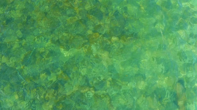EL TULE BEACH LOS CABOS BCS MEXICO-2021: Clear Shallow Water Over Rocky Seabed