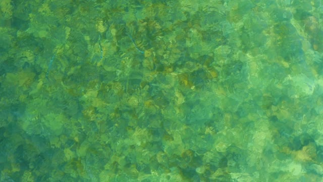 EL TULE BEACH LOS CABOS BCS MEXICO-2021: Clear Water Ripples Over Rocky Bottom